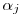 $\alpha_j$ $\alpha_j$